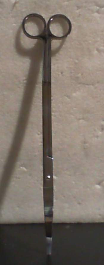 Tijeras largas y curvas de acero inoxidable para acuarios