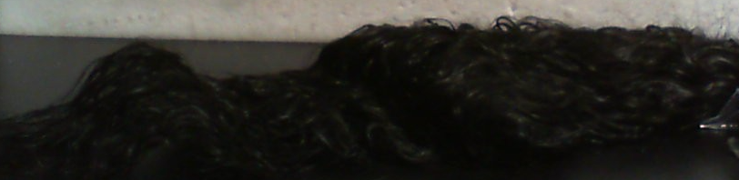 Cabello negro rizado pelo por pelo con ondas definidas