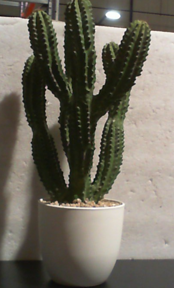Cactus artificial de 16 pulgadas, plantas suculentas falsas para decoración de interiores y exteriores