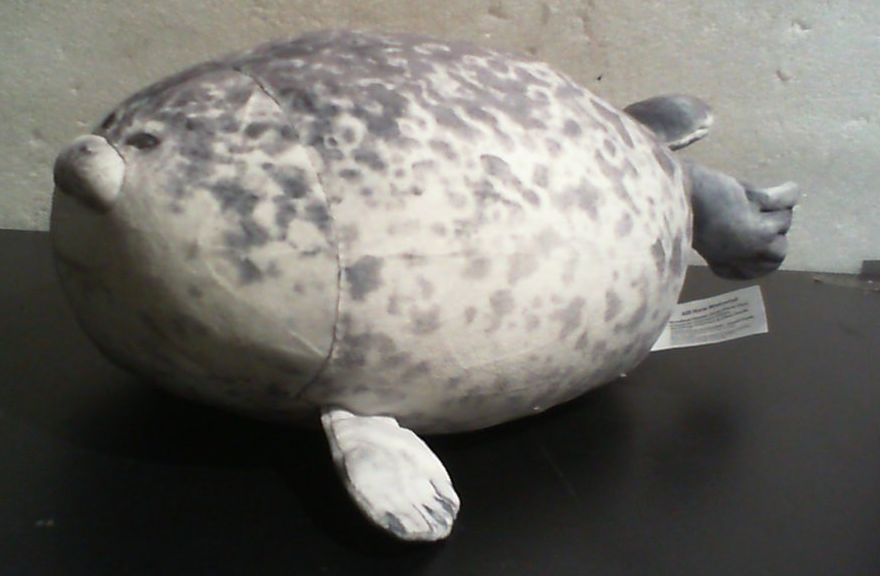 Almohada de foca adorable, almohada de peluche de foca regordeta