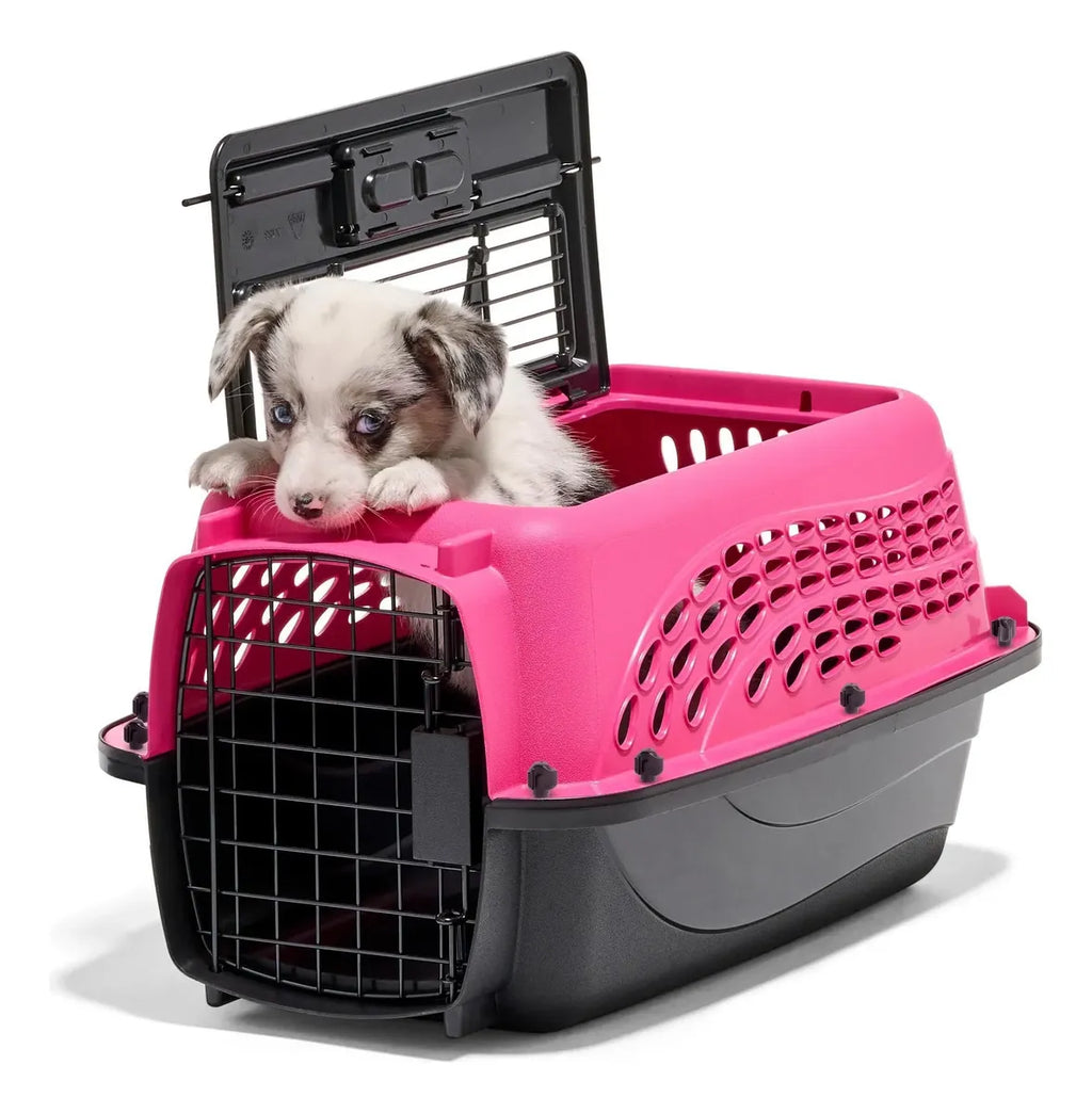 Petmate Jaulas Para Perros Pequeños Y Transportadores