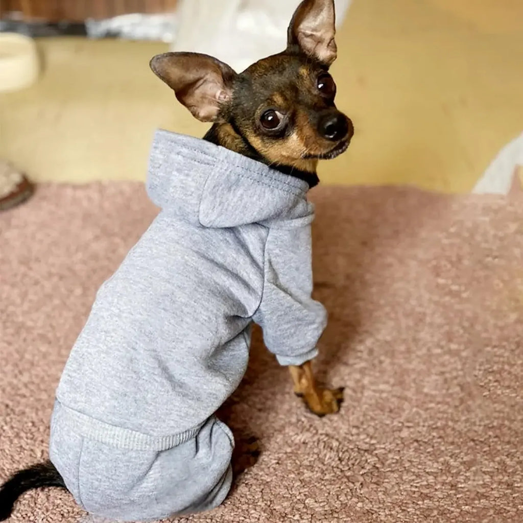 Abrigo para Perro Talla Mediana — Color Gris, Ropa de Abrigo Cómoda para Mascotas