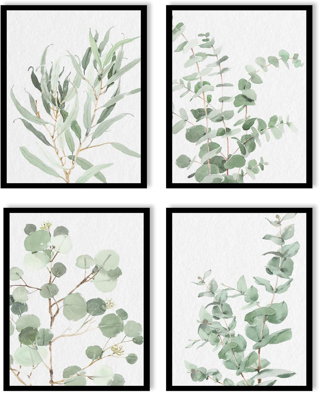 Set de 4 Cuadros Decorativos Enmarcados Botanical Prints | Arte Botánico para Pared