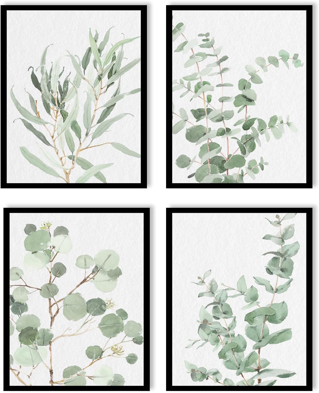 Set de 4 Cuadros Decorativos Enmarcados Botanical Prints | Arte Botánico para Pared