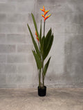 Planta Artificial Ave del Paraíso en Maceta Negra – Planta Ornamental Falsa Tropical Realista para Hogar y Oficina