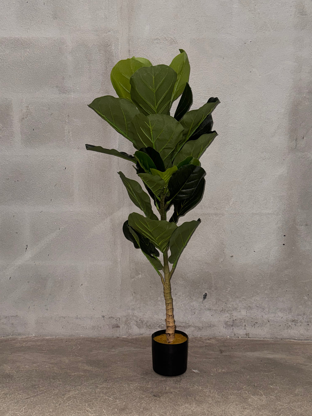 Planta Artificial Ficus Lyrata en Maceta Negra – Planta Ornamental Falsa de Hoja de Violín para Decoración de Hogar y Oficina