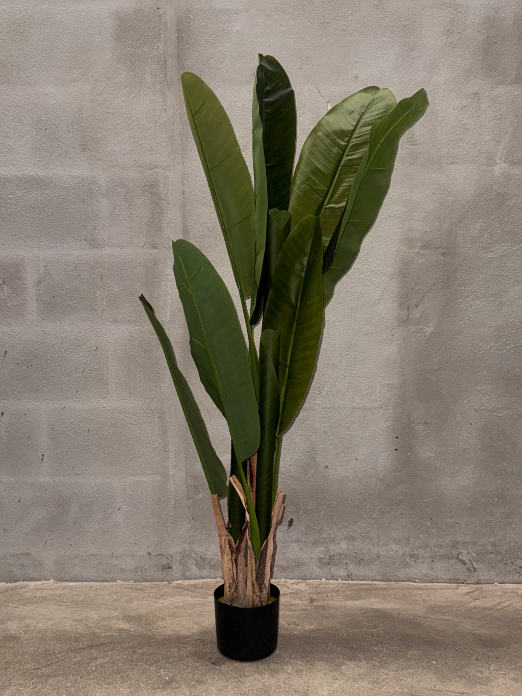 Planta Artificial Tropical Tipo Platanera en Maceta Negra – Planta Ornamental Falsa de Hojas Grandes para Hogar y Oficina
