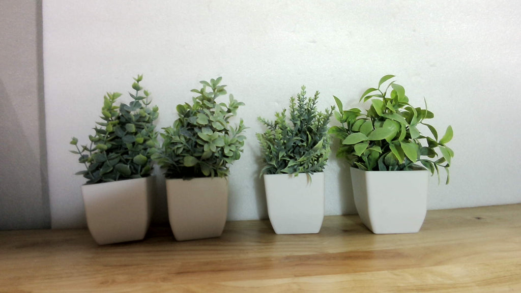 Set de 4 plantas artificiales decorativas en macetas blancas cuadradas