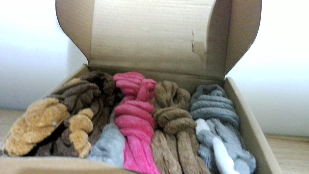 Juguetes de Peluche con Sonido para Perros Pack x5 | Sin Relleno, Resistentes, para Razas Pequeñas, Medianas y Grandes