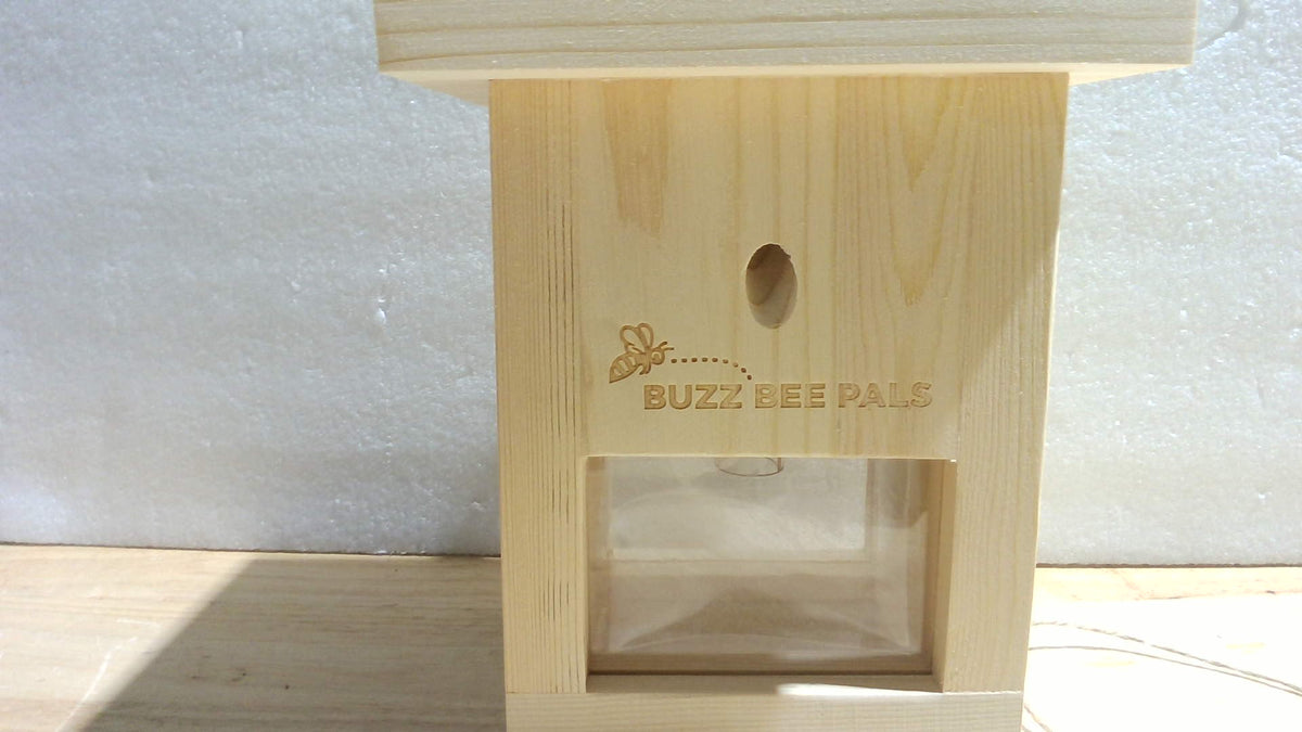 USADO-Trampa para Abejas Carpinteras Carpenter Bee Defender B1 – Madera, Techo Plano, Exterior