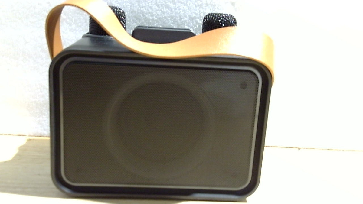 Máquina de karaoke, altavoz Bluetooth portátil con 2 micrófonos inalámbricos para adultos y niños con luces LED, micrófono de karaoke con sistema de megafonía compatible con USB/TF/AUX, regalo para fiestas (negro)