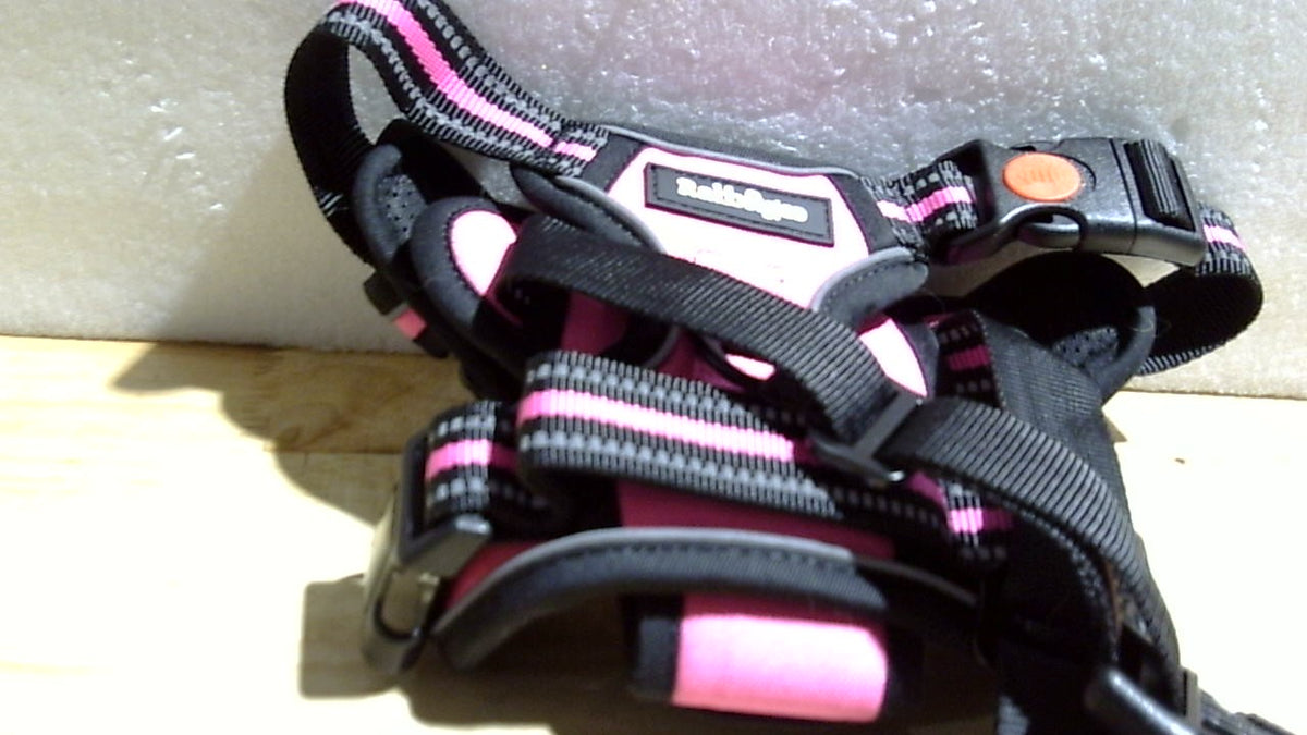 Arnés para perros rabbitgoo, talla mediana, arnés antitirones con 3 hebillas, chaleco acolchado suave ajustable con asa de control, chaleco reflectante para pasear perros medianos, rosa, talla M