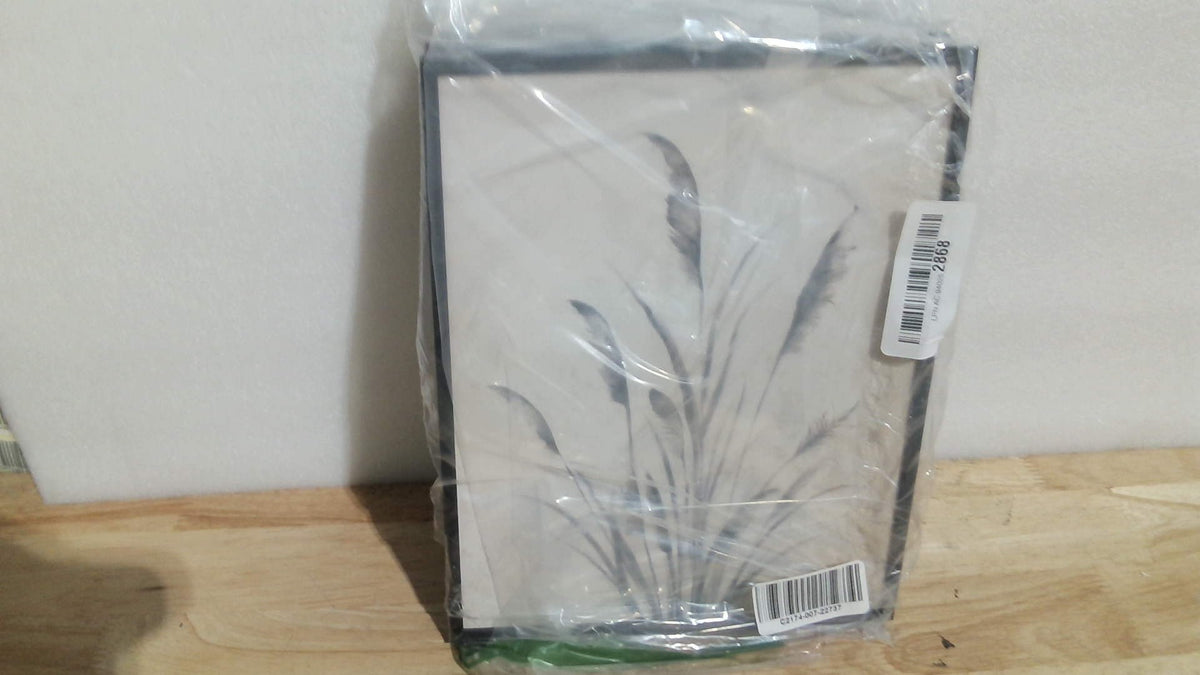 Cuadros botánicos vintage enmarcados para pared, 2 piezas de lienzos florales rústicos bohemios para casas de campo modernas, imágenes de flores neutras en blanco y negro para baño, dormitorio, pasillo, cocina y decoración del hogar, 8x10
