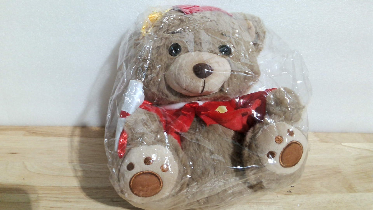 Osos de graduación rojos Deekin de 10 pulgadas, clase de 2026, peluche de graduación con gorro, oso de peluche para preescolar, regalos de graduación de jardín de infantes, juguete de peluche, Peluche De GraduaciÃƒÂ³n 2026, decoraciones para fiestas