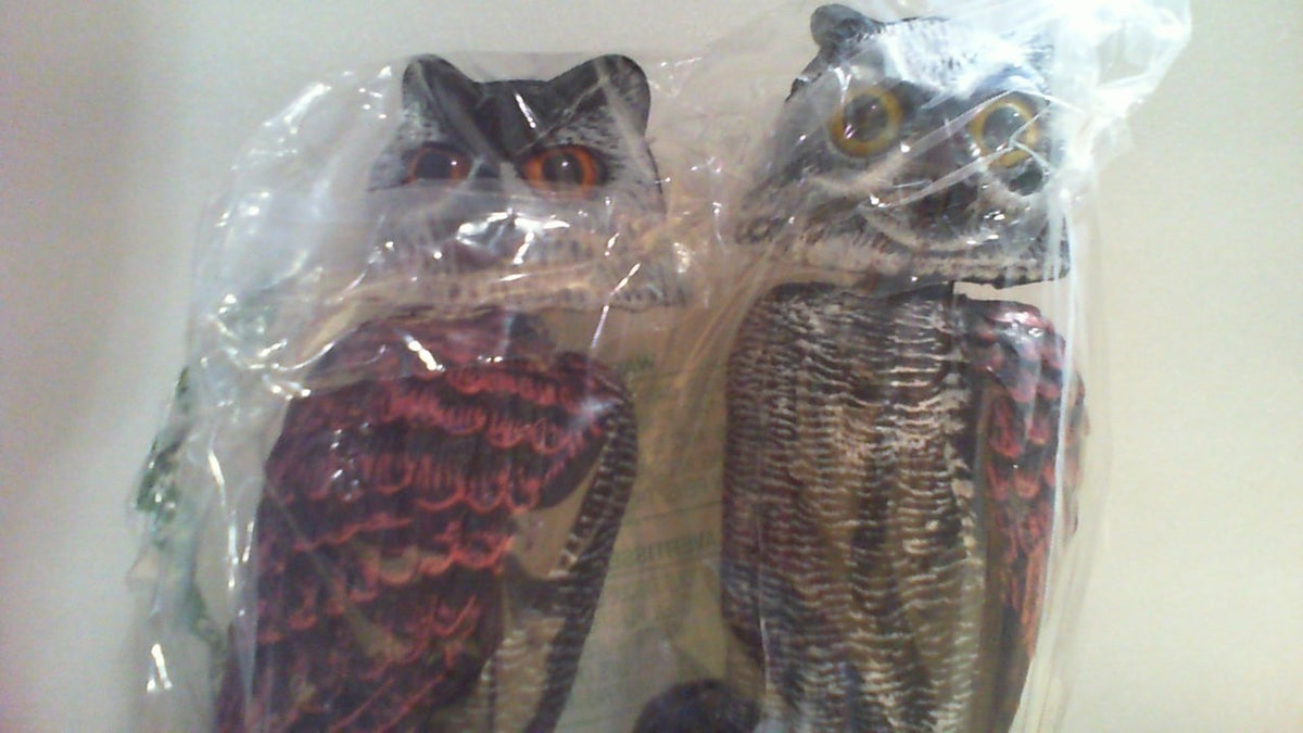 Paquete de 2 señuelos falsos de búho Hedoc para ahuyentar pájaros, repelentes de aves con cabeza giratoria, estatuas de plástico de espantapájaros que representan a los enemigos de la naturaleza, repelente de plagas para jardines y patios.