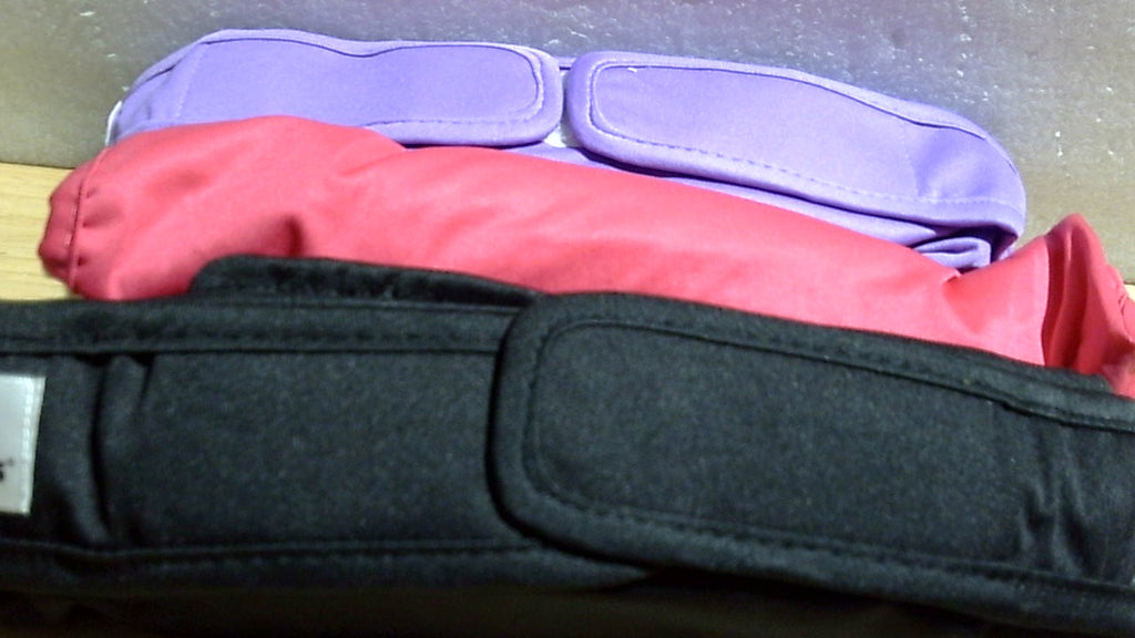 Pañales lavables para perros Pet Parents® (paquete de 3) + extensores® de pañales duraderos para perros, pañales premium para perras (extragrandes, princesa)