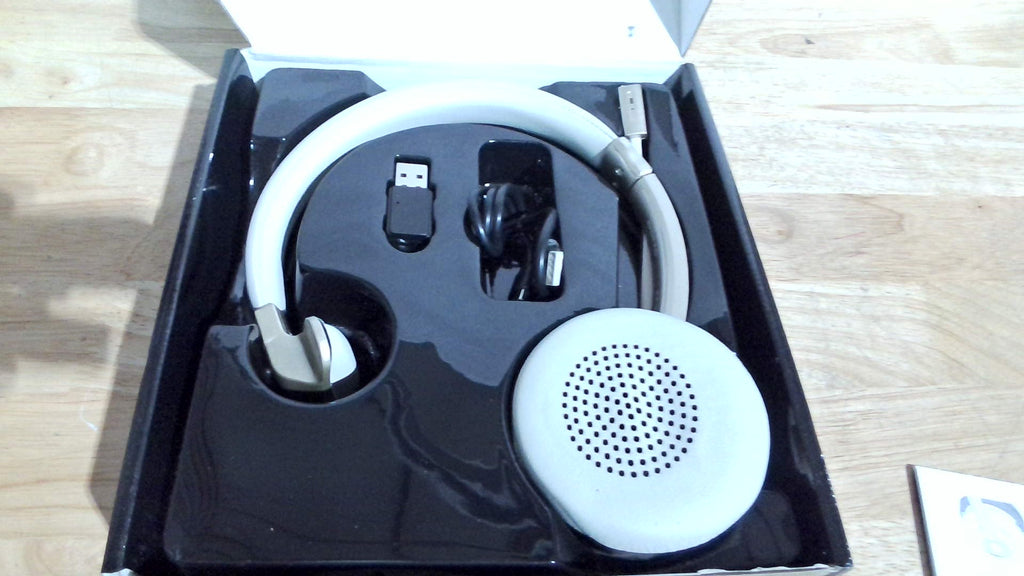 Diadema Inalambrica Bluetooth 5.0 para Camioneros | Microfono con Cancelacion de Ruido y Dongle USB | Auricular para Trabajo Remoto y Reuniones