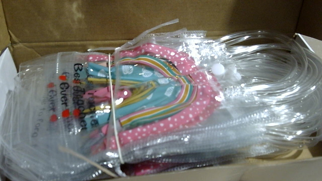 Shinylin 24 Bolsas de Regalo Transparentes con Asas y Cinta | PVC Reutilizables para Día del Maestro y Agradecimiento