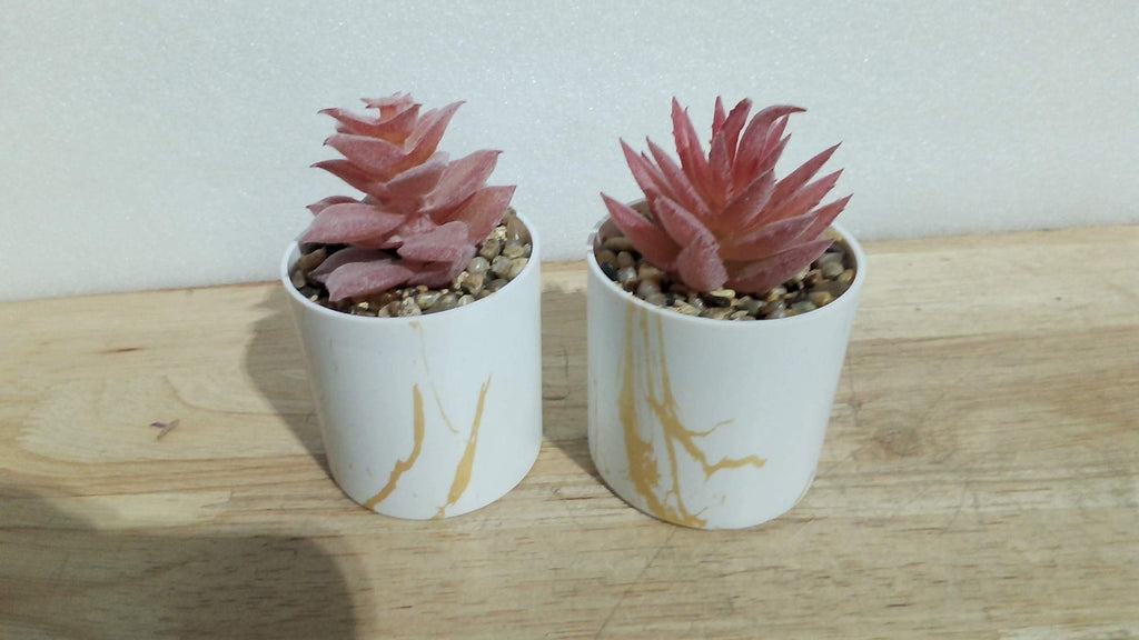 juego de dos suculentas artificiales decorativas en macetas mini.ARTICULO VIENE COMO SE OBSERVA EN LA SEGUNDA IMAGEN