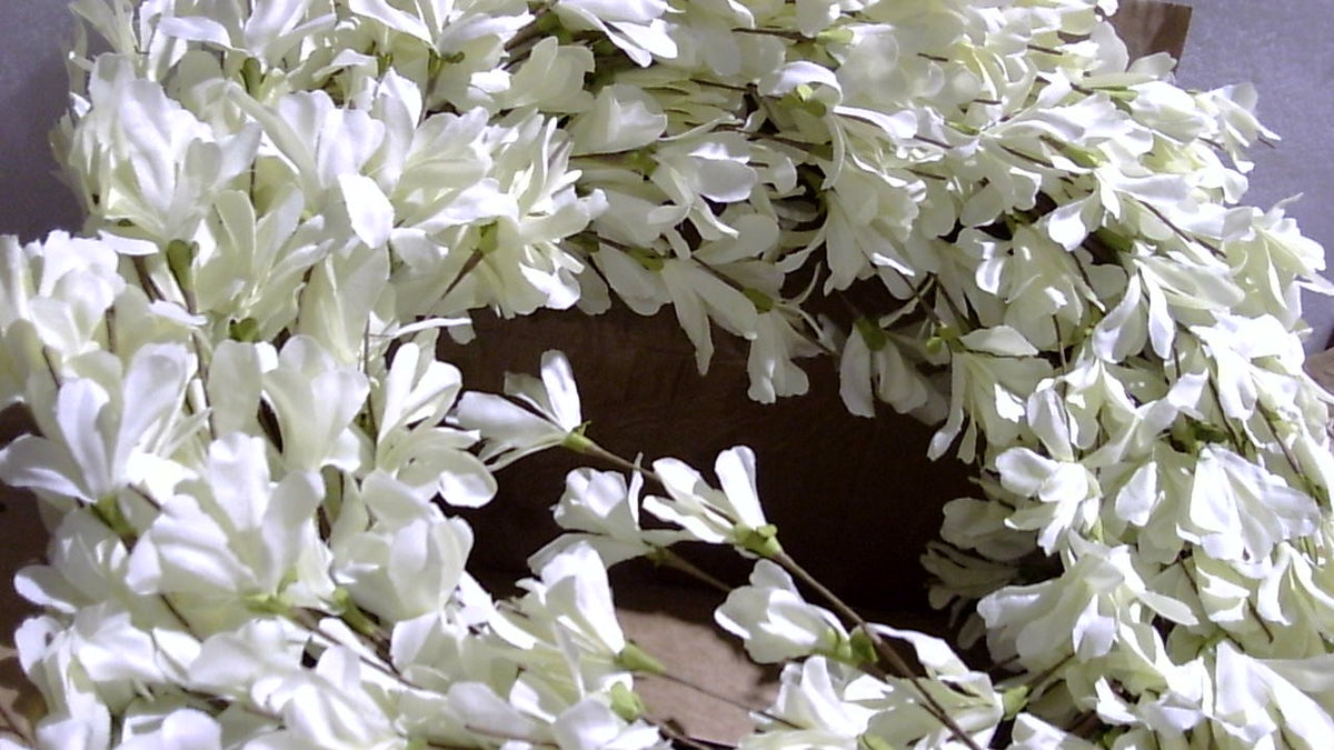 Corona de Primavera para Puerta 24 pulgadas | Forsythia Blanca Crema con Racimos de Flores | Estilo Farmhouse sobre Vid para Puerta, Pared y Ventana