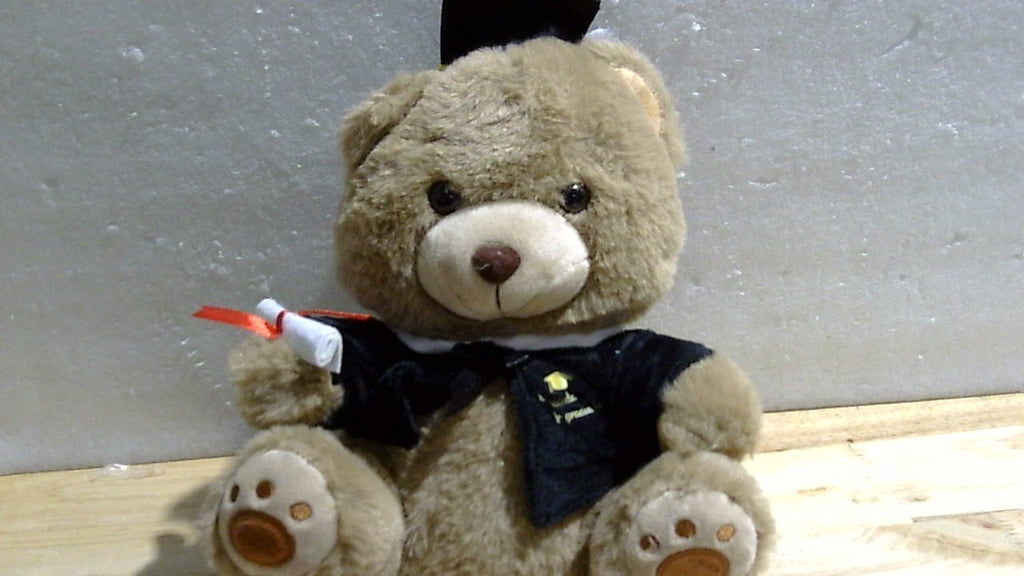 Oso de peluche Deekin de 25 cm (10 pulgadas) para graduación, promoción de 2026, con gorro de graduación, ideal para regalos de graduación de jardín de infancia o para decoración de fiestas