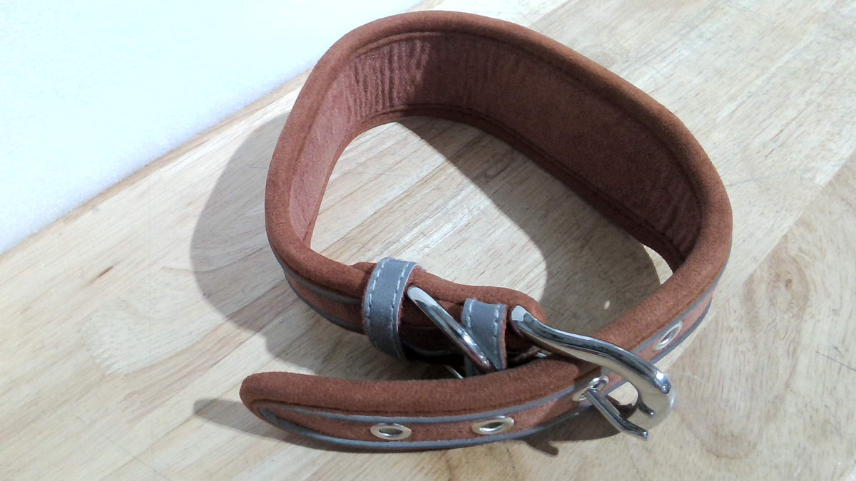 collar para perro ergonómico y acolchado con tiras reflectantes ( ARTICULO VIENE COMO SE MUESTRA EN LA IMAGEN 2-3 Y 4