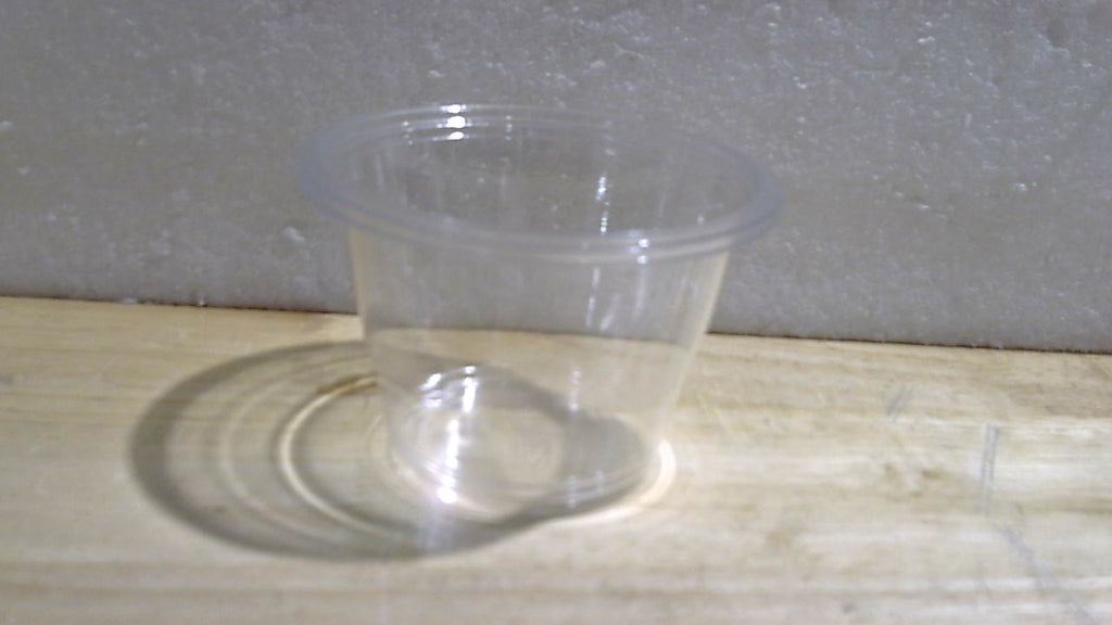 Envases transparentes con tapa, paquete de 100 unidades