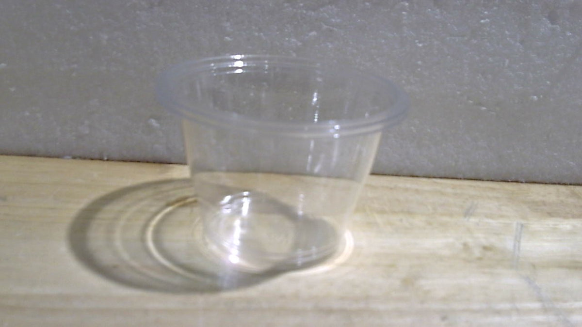 Envases transparentes con tapa, paquete de 100 unidades