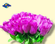 paquete de 2 plantas o macetas con rosales artificiales (2-Pack Artificial Potted Rose Bushes)