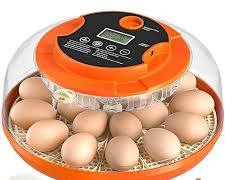 incubadora automática Apdoe de 18 huevos, un equipo digital diseñado para el nacimiento de aves de corral con control de temperatura, humedad, volteo automático y ovoscopio integrado.