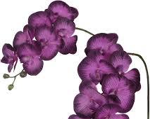 Paquete de Tallos de Orquídea Phalaenopsis Artificial, Fucsia/Magenta