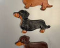 letrero decorativo intercambiable de madera con silueta de perro salchicha (Dachshund) (VIENEN 15 PIEZAS ) DISENO UGUAL A LASEGUNDA IMAGEN