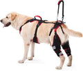 rodillera ortopédica y arnés de asistencia para perros de la marca Lafoty (Modelo 566)
