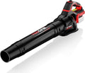 Sopladora de hojas inalámbrica ALDIPRO (Aldipro Cordless Leaf Blower, modelo AD-DLB74A-0WR) VIENE SIN CARGADOR