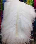 paquete de plumas blancas para manualidades o costura ( ARTICULO VIENE CON 9 PIEZAS ASI COMO SE MUESTRA EN LA SEGUNDA IMAGEN )
