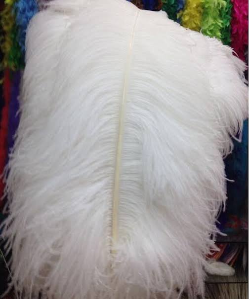 paquete de plumas blancas para manualidades o costura ( ARTICULO VIENE CON 9 PIEZAS ASI COMO SE MUESTRA EN LA SEGUNDA IMAGEN )
