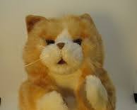 PERRITO DE PELUCHE ( VIENE COMO SE OBSERVA EN LA SEGUNDA IMAGEN )