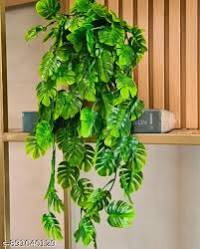 paquete de ramas o varas de hojas artificiales de Monstera (Costilla de Adán  ( imagenes ilustrativas )