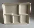 bandeja desechable biodegradable de 5 compartimentos ARTICULO VIENE COMO SE OBSERVA DE LA SEGUNDA IMAGEN EN ADELANTE