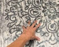 Alfombra Decorativa Lavable de Pasillo o Área en formato Low-Pile (pelo corto)