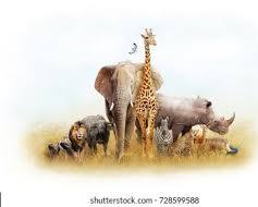 set de figuras de juguetes de animales de safari de la marca BOLZRA. ( CONTIENE 13 PIEZAS )