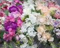 Paquete de 2 guirnaldas tropicales de verano de 56 cm para gabinetes, con flores artificiales de hibisco en forma de lágrima, hojas de palma y helechos. Guirnalda floral para colgar en la puerta principal, el porche