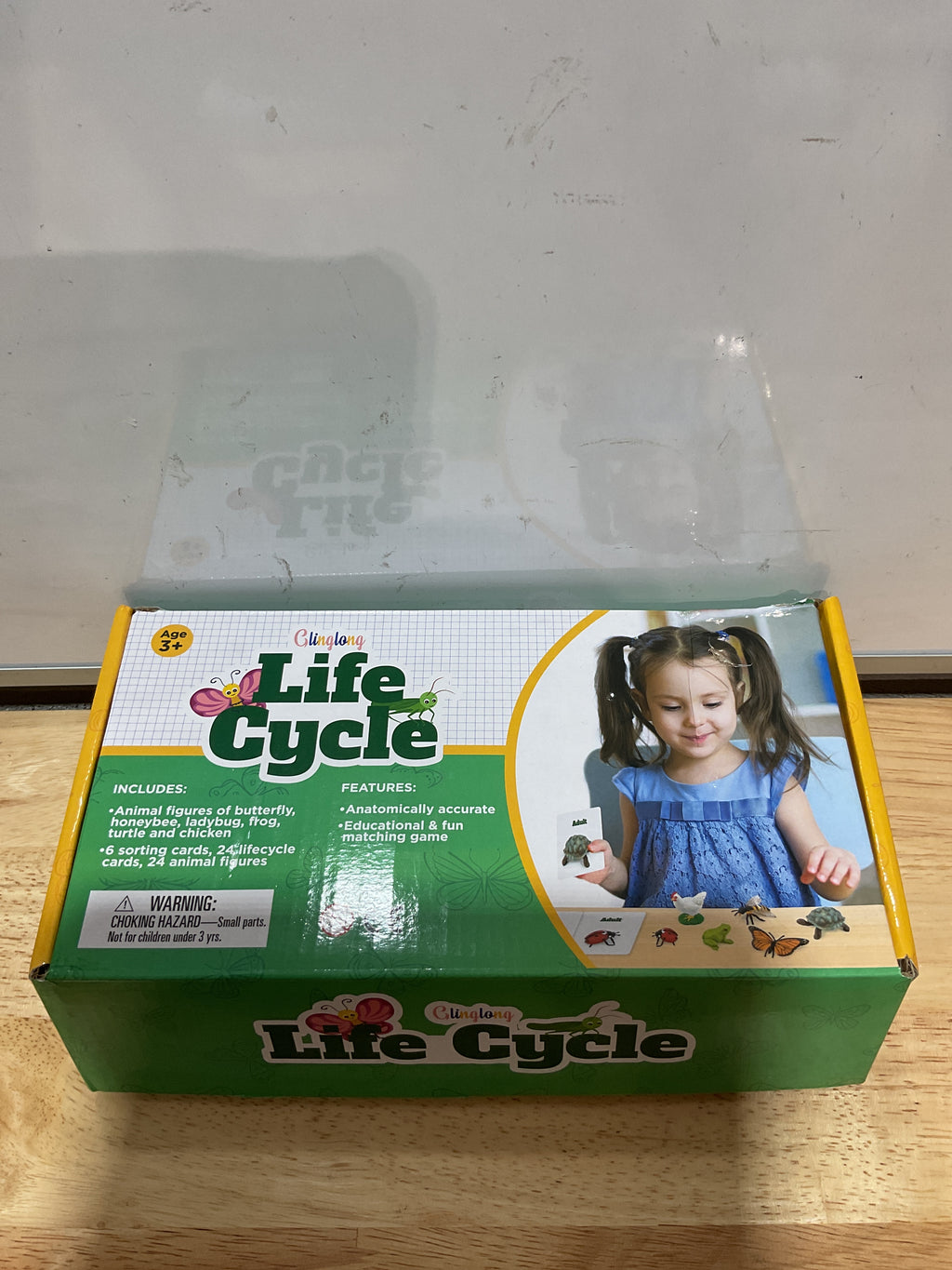 Kit Ciclo de Vida Animal Montessori | Juguete Educativo STEM para Niños 3-8 Años