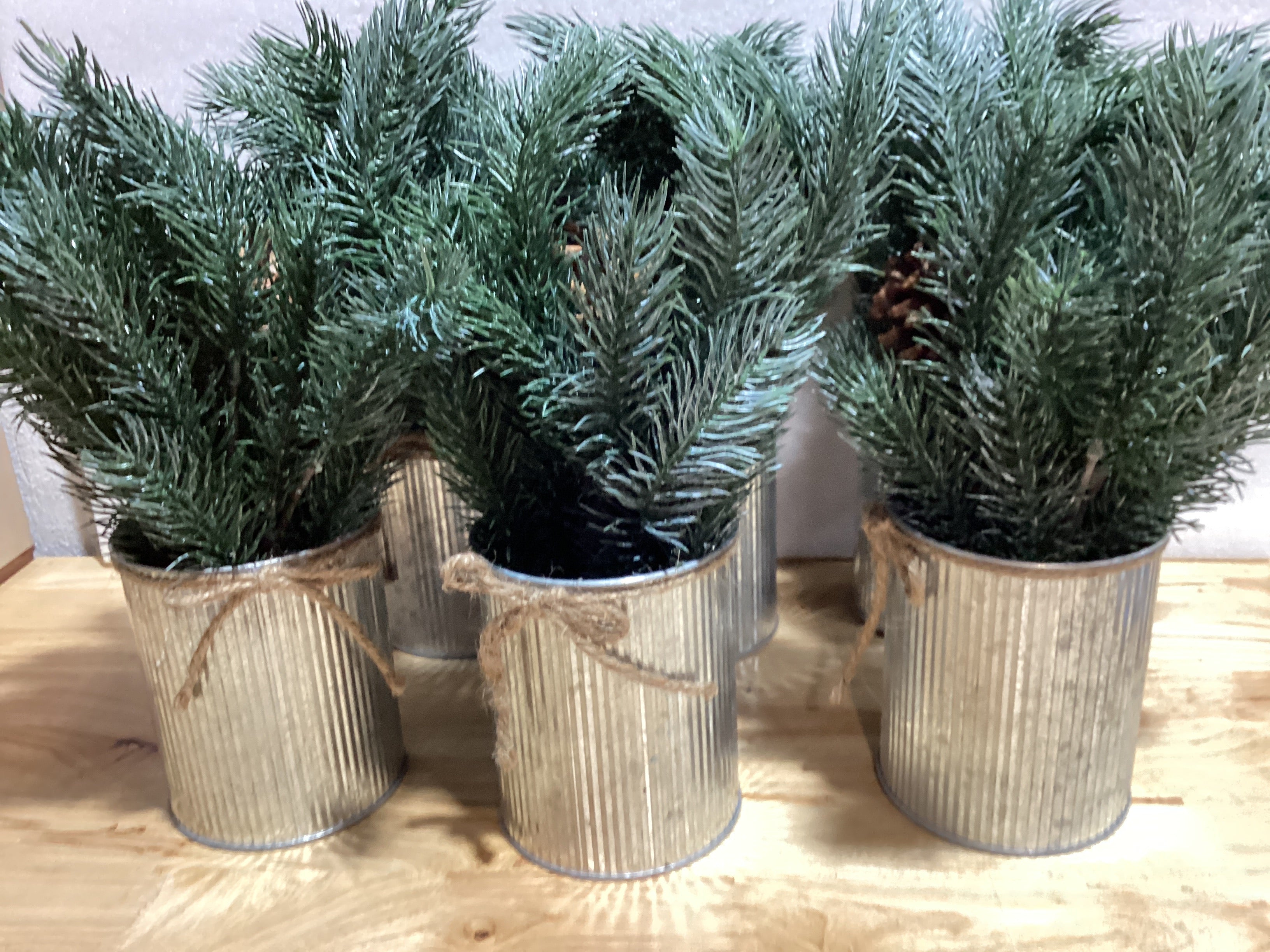 ⚠️ SON 6 EN TOTAL | Ramas de Pino en Maceta para Decorar — Centro de Mesa, Decoración Navideña y de Interiores