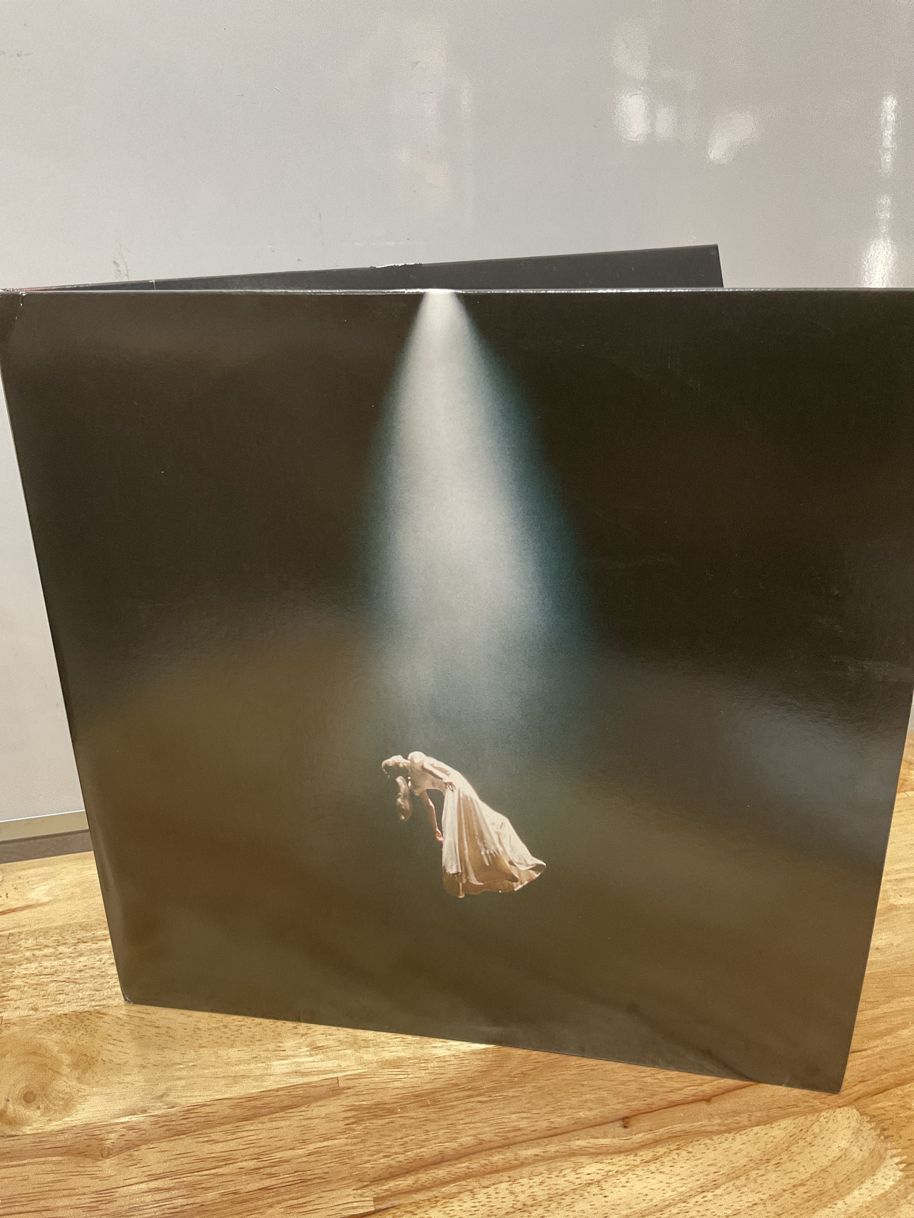 Eternal Sunshine Deluxe: Bright Days Ahead – Caja de Colección Edición Especial