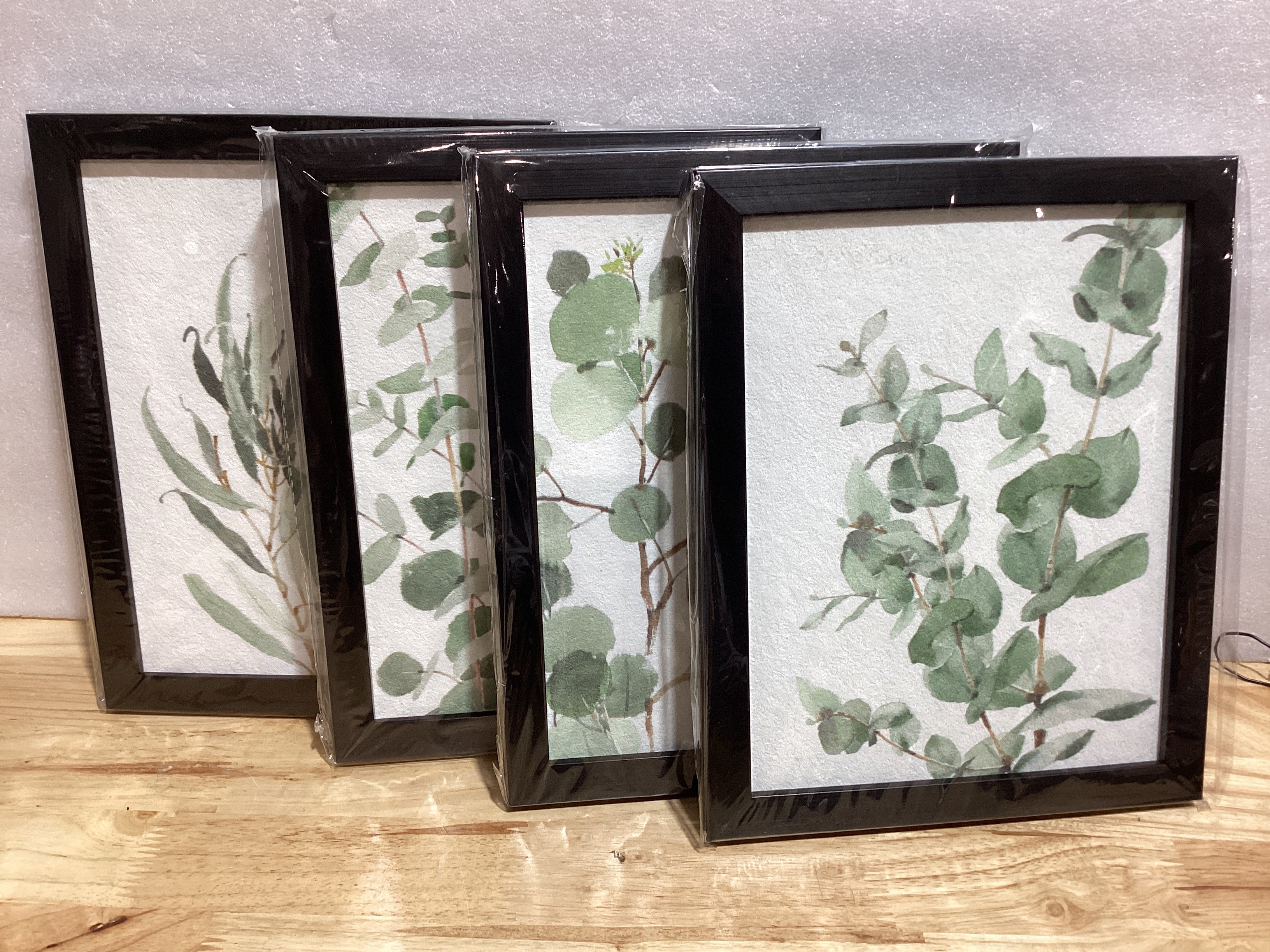 Set de 4 Cuadros Decorativos Enmarcados Botanical Prints | Arte Botánico para Pared
