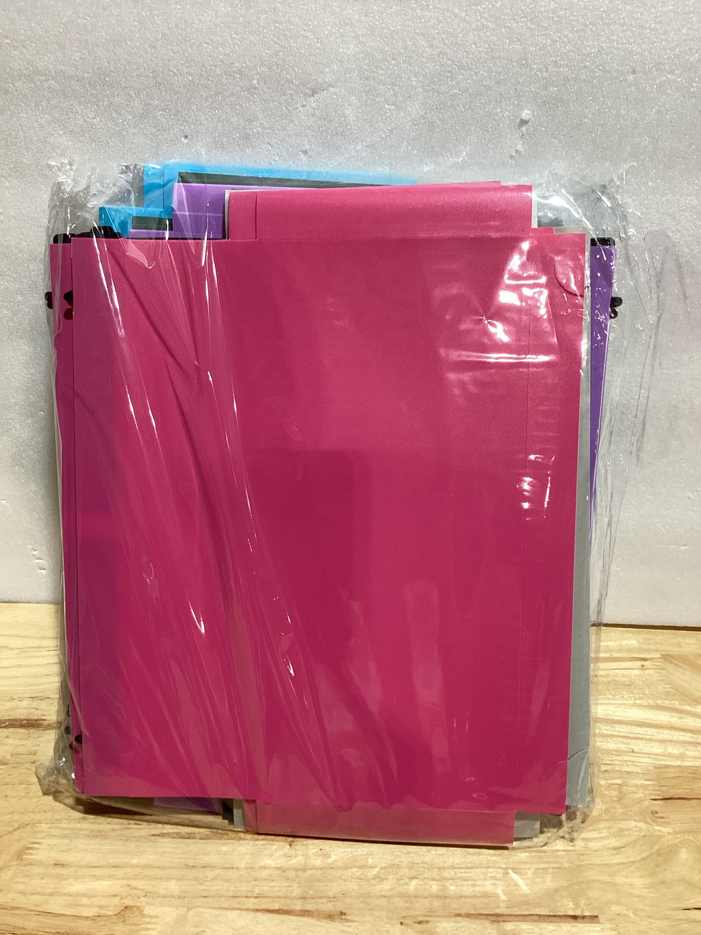 Shutex – Carpetas Colgantes de Plástico Expandibles | Alta Capacidad | Bolsillo Acordeón 2" | Tamaño Carta | Para Archivador | Organización de Documentos