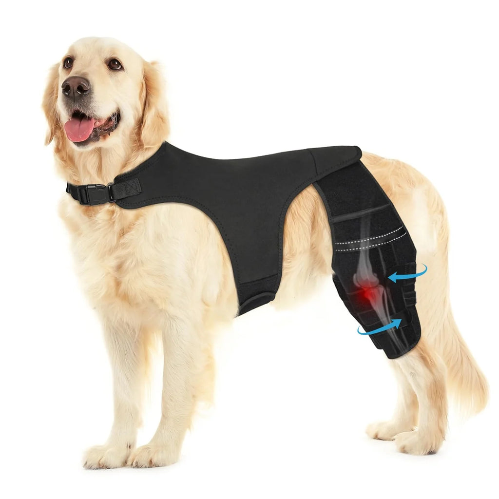USADO Rodillera para Perro Pawfun para ACL Roto de Pata Trasera | Ayuda con Dolor de CCL, Luxación de Rótula y Lesiones de Ligamento | Talla XL